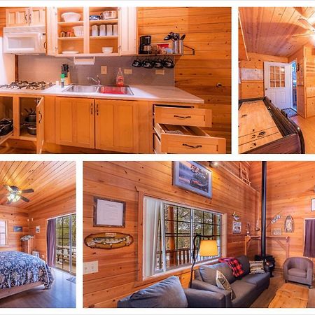 Cabin #4 The Wolves Den - Pet Friendly- Sleeps 6 - Playground & Game Room Пейсън Екстериор снимка