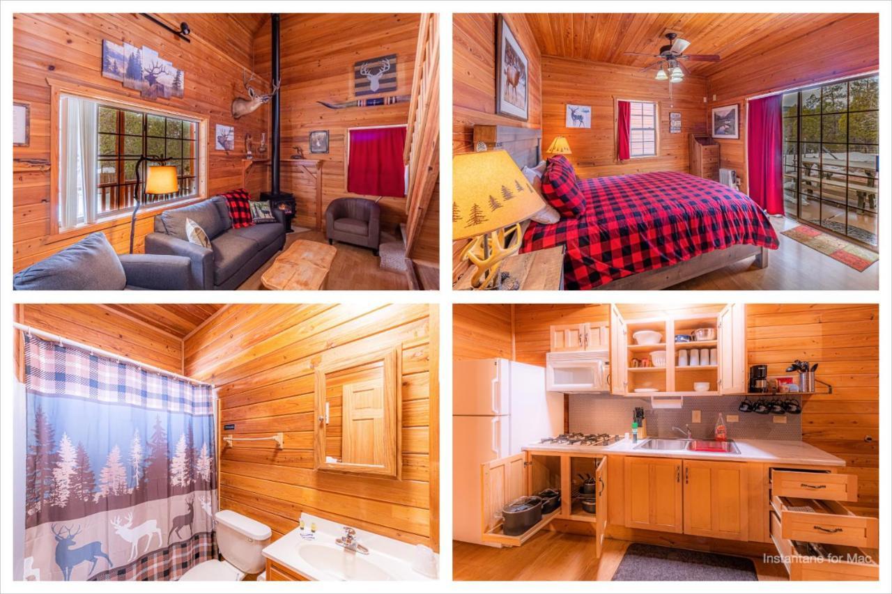 Cabin #4 The Wolves Den - Pet Friendly- Sleeps 6 - Playground & Game Room Пейсън Екстериор снимка